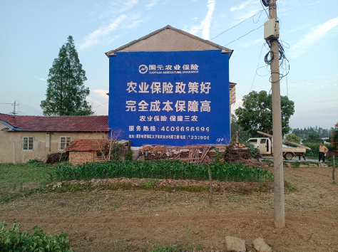 衡阳墙体广告为何受追捧?